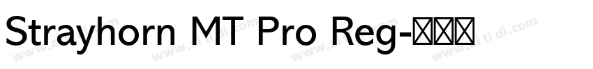 Strayhorn MT Pro Reg字体转换